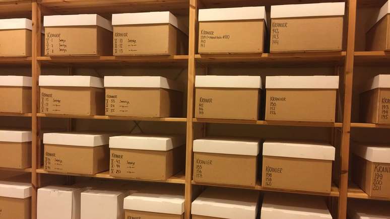 Instituto Karolinska abriga uma macabra coleção de quase 800 crânios humanos