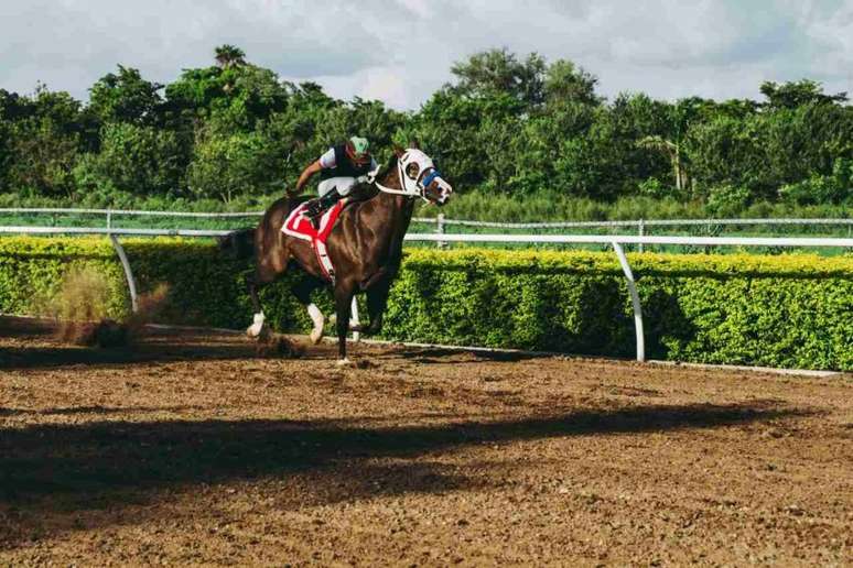 Cassino seria construído ao lado de pistas de corrida de cavalos (Mídia)