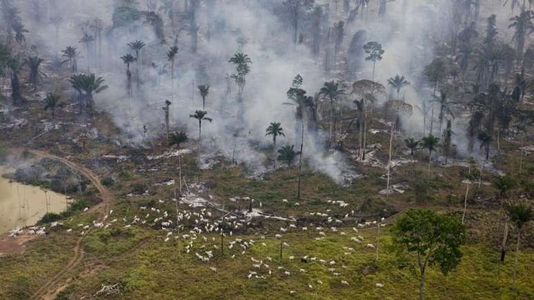 Agropecuária e manejo do solo, que inclui desmatamento, são responsáveis por mais de 70% das emissões no Brasil