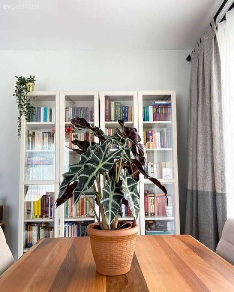 12. Armário para livros com porta de vidro para decoração de sala de jantar com mesa de madeira – Foto: EV Gezmesi