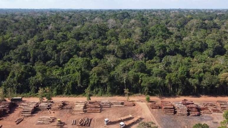 Acordo negociado em conferência sobre mudança climática deve prever compromisso de proteção de terras indígenas e de zerar o desmatamento ilegal