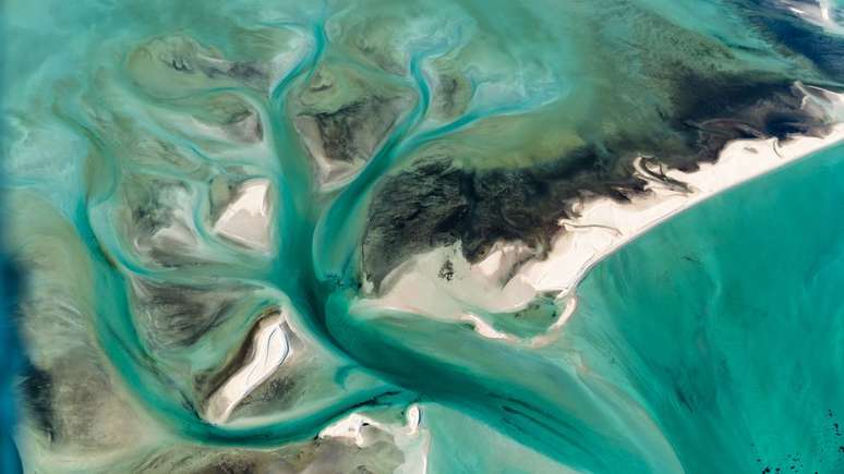 Shark Bay viveu uma intensa onda de calor em 2011, fazendo com que a temperatura da água subisse até 5ºC por dois meses