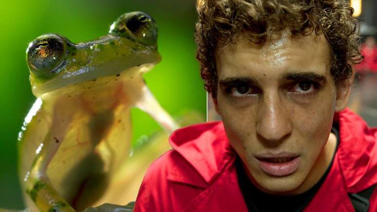 Colagem de imagens de dois programas, uma mostrando sapo e outra um homem