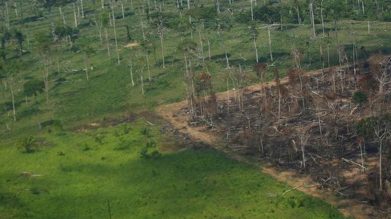 Sem controle do desmatamento da Amazônia, mundo não consegue alcançar meta de controle das mudanças climáticas, dizem ambientalistas