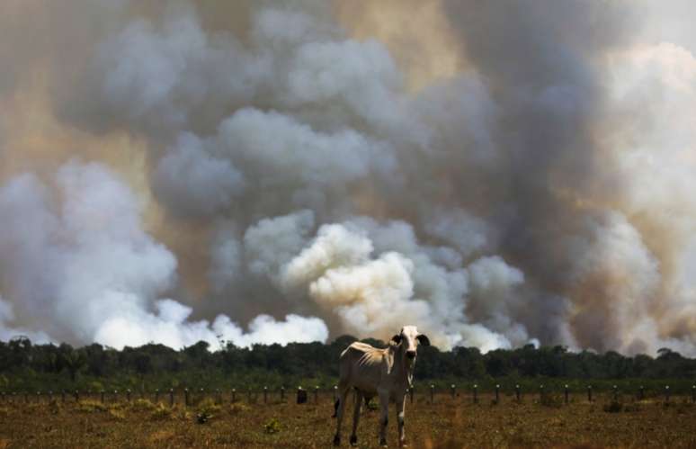 Dados levantados pela BBC News Brasil mostram corte em pesquisas sobre mudanças climáticas no Brasil
