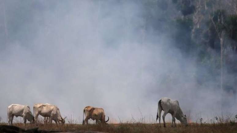 Política ambiental do governo Bolsonaro é alvo de críticas domésticas e internacionais