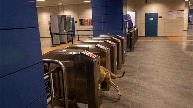 Boji é filmado em uma estação de metrô de Istambul