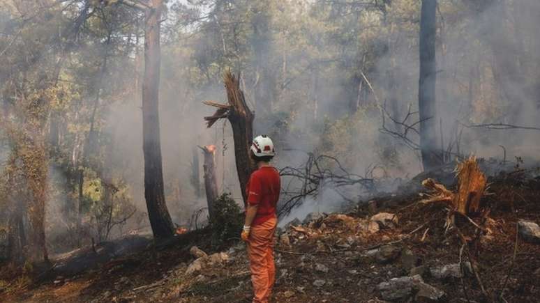 Turquia foi um dos lugares atingidos por incêndios florestais devastadores neste verão