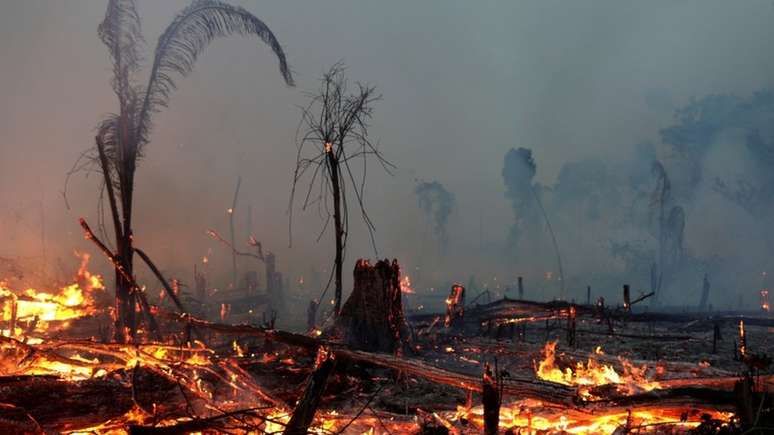 Fumaça de incêndios na região Amazônica foi carregada pelo vento e fez escurecer cidades de outras regiões