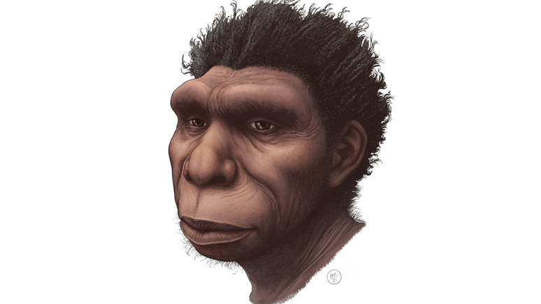 Ilustração do Homo bodoensis