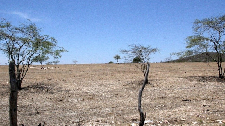 Desertificação atinge 32,8% de todo o território de Alagoas, o maior percentual em todo o Semiárido