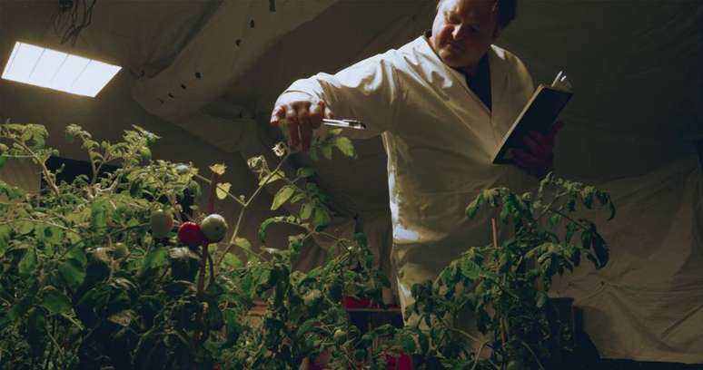 Tomates cultivados em instalação na Flórida que simula as condições de Marte viraram ketchup da Heinz.