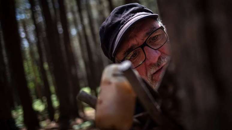 Un hombre trabajando en un &aacute;rbol.