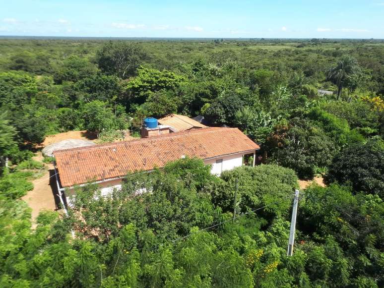Casa do agricultor Vilmar Luiz Lermen rodeada por agrofloresta em Exu, no Semi&aacute;rido de Pernambuco