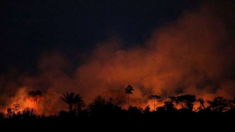 Para a WWF, uma das maiores ONGs ambientais do mundo, governo 'não convence' que está disposto a cumprir compromissos assumidos na COP26