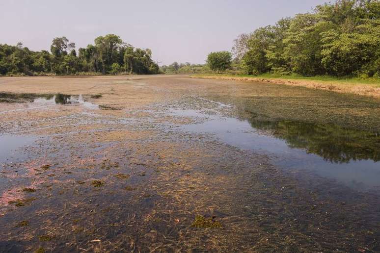 A lagoa de captação do rio Batalha, que abastece 40% da população de Bauru, está quase seca. A cidade entrou em estado de emergência