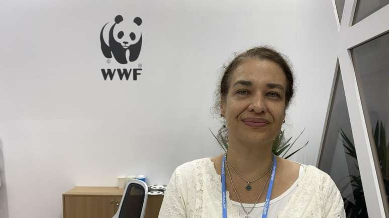 Para a gerente de Política Global da WWF, governo brasileiro precisa se comprometer a zerar desmatamento, não apenas desmatamento ilegal, para cumprir acordo sobre florestas firmado na COP26