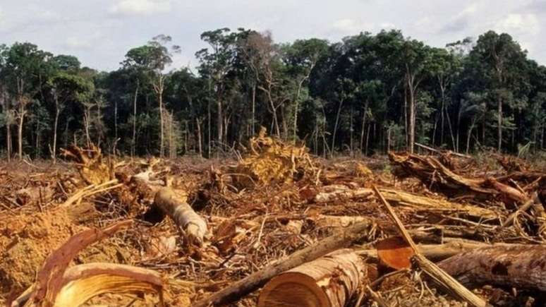 Dados do Inpe mostram aumento no desmatamento na Amazônia em outubro de 2021 em comparação com o ano passado. Área destruída é recorde para o mês desde o início da série histórica, em 2016.