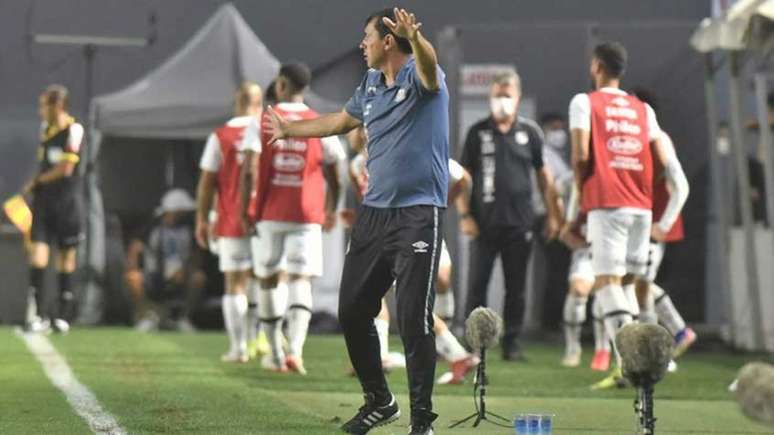 Carille comemorou o resultado conquistado pelo Peixe em casa contra a Chape (Foto: Ivan Storti/Santos FC)