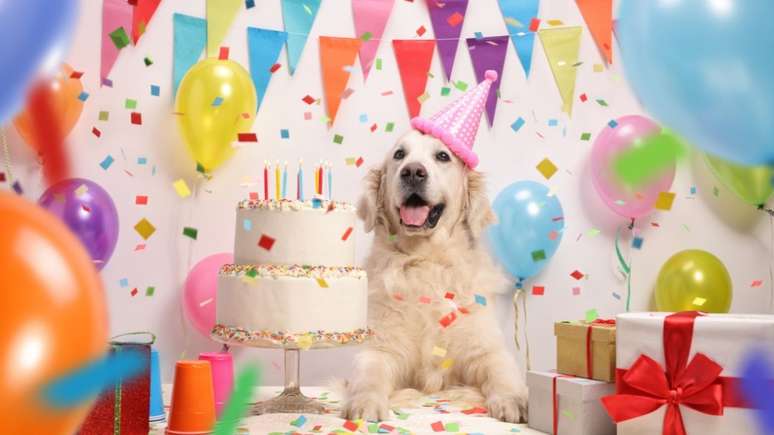 Vem comemorar o aniversário com os pets!