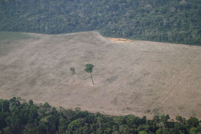 Desmatamento na Amazônia
REUTERS/Ueslei Marcelino