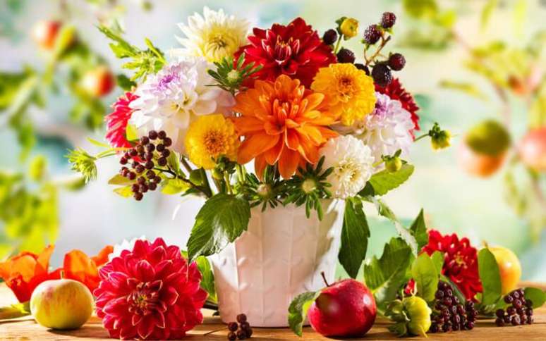 Descubra como as flores podem ajudar na sua casa e no seu ambiente de trabalho - Shutterstock.