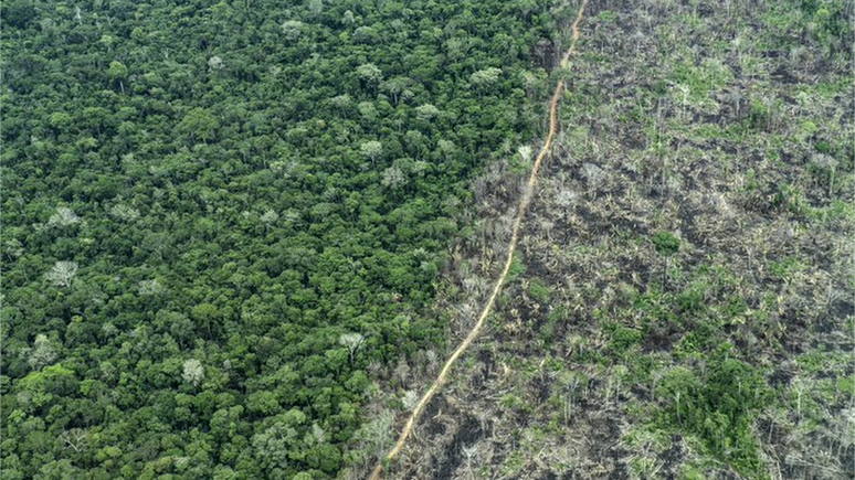 Imagem a&eacute;rea na reserva Piripkura mostra em uma metade &aacute;rea de floresta, e na outra, &aacute;rea plantada