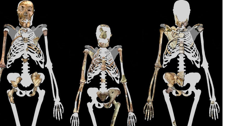 Lucy (ao centro) e dois indivíduos da espécie Australopithecus sediba, um ancestral dos humanos modernos de 2 milhões de anos atrás