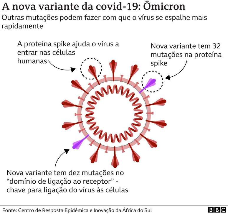 Gráfico