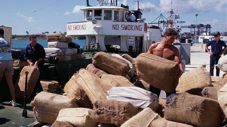 A quantidade de maconha contrabandeada para Miami na década de 1980 era tão grande que as autoridades não davam conta de destruir as toneladas apreendidas do produto