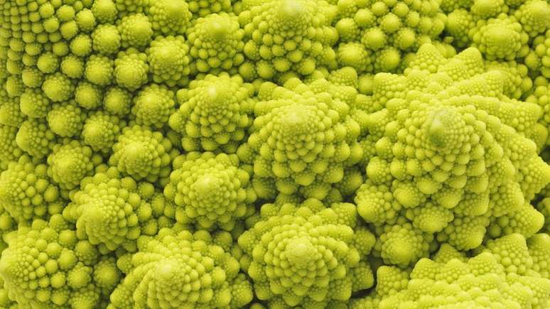 A natureza &eacute; repleta de fractais. Estes, por exemplo, s&atilde;o os fractais que formam os br&oacute;colis