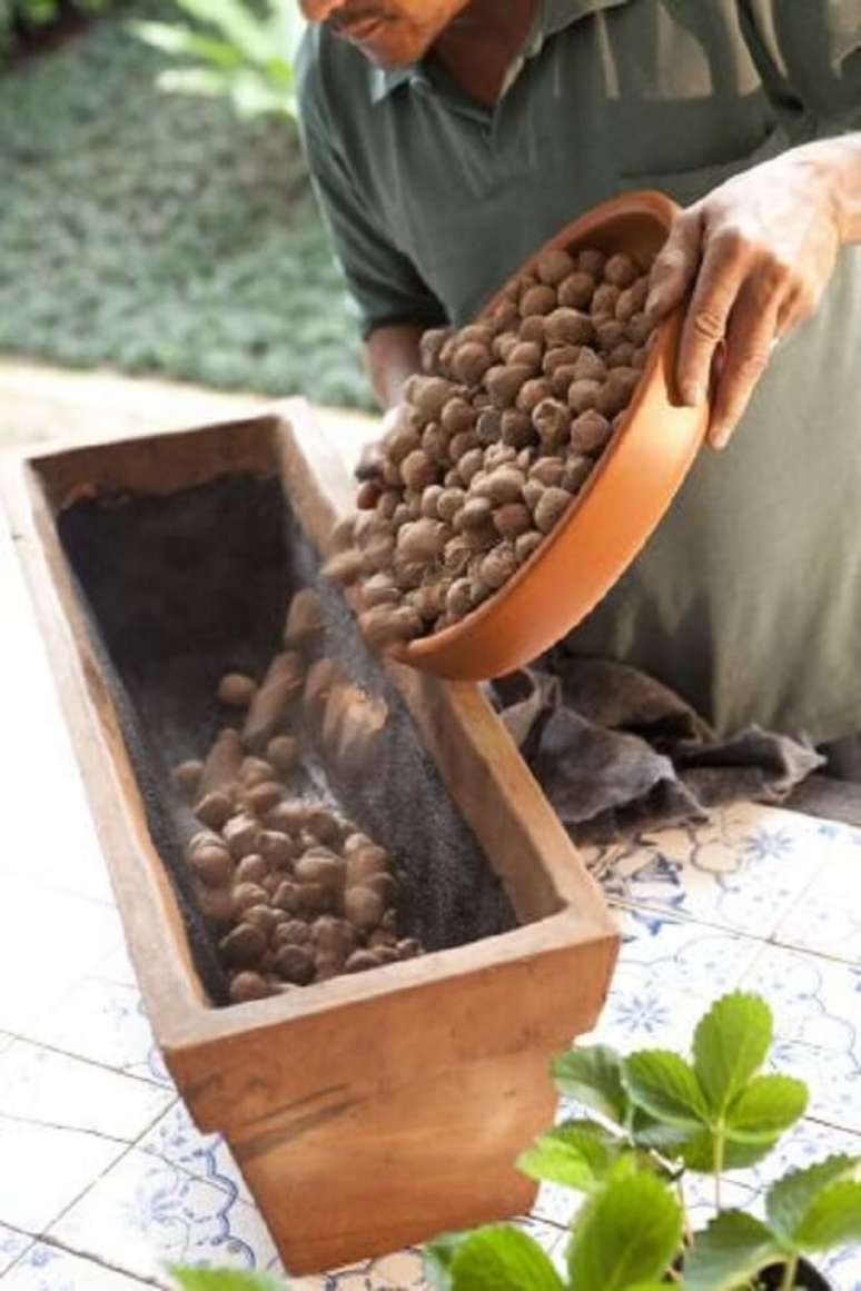6. Jardim com argila expandida auxilia na drenagem da terra. Fonte: César Torres