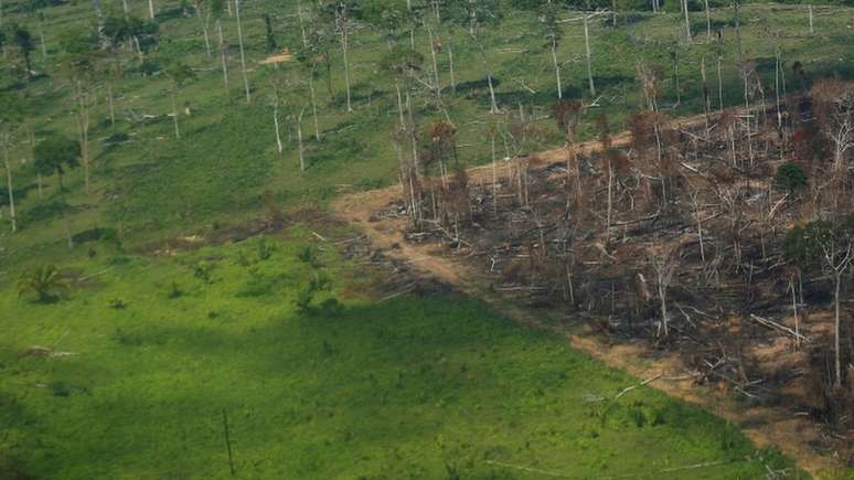 Foto de setembro mostra &aacute;rea desmatada em Rond&ocirc;nia; em muitos casos, as florestas podem recuperar-se naturalmente, com pouca ou nenhuma assist&ecirc;ncia humana