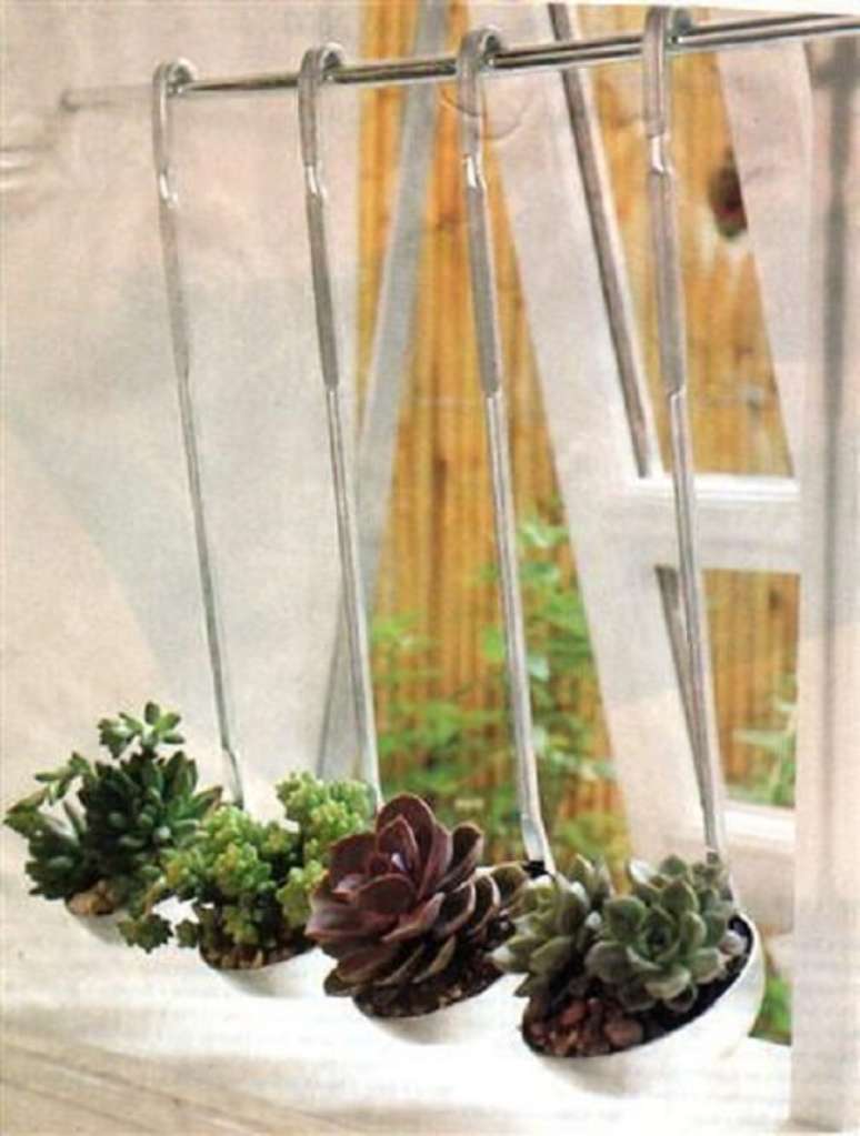 16. As suculentas podem ser cultivadas de forma criativa na cozinha. Fonte: Conexão Decor