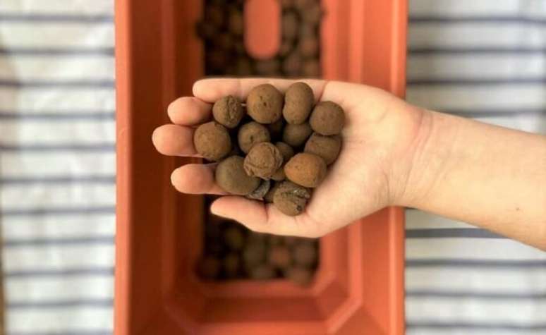 4. Argila expandida no jardim é muito usada no fundo de vasos, pois auxilia na drenagem. Fonte: Amo Plantar