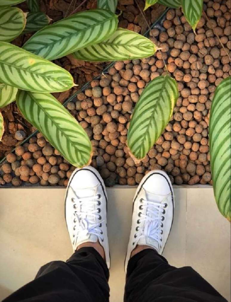 1. Projeto de jardim com argila expandida. Fonte: Renan Rojas Arquiteto