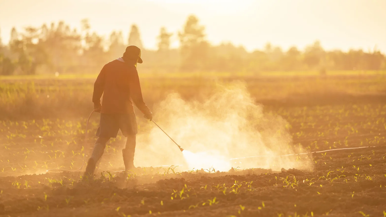 A agricultura industrial transformou grande parte da superfície da Terra em um ambiente hostil para os insetos