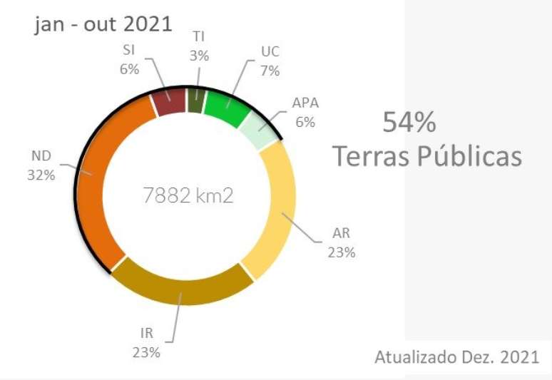 Dados do Instituto de Pesquisa Ambiental da Amazônia mostram que 54% do desmatamento registrado entre janeiro e outubro de 2021 ocorreu em terras públicas