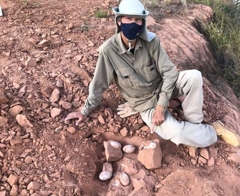 O paleontólogo Willian Nava encontrou cinco ovos de dinossauro durante escavações em sítio paleontológico de Presidente Prudente, no interior de São Paulo