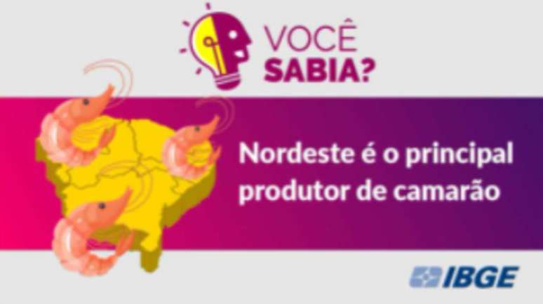 Imagem postada pelo IBGE no dia em que Bolsonaro declarou ter precisado de internação por engolir um camarão sem mastigá-lo; tuíte foi apagado