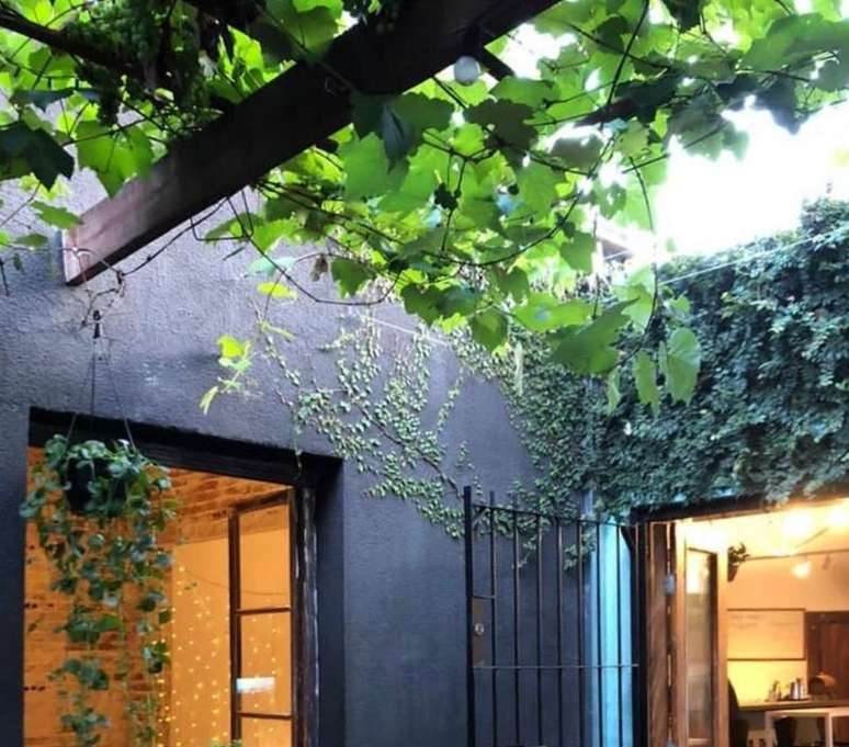 Reprodu&ccedil;&atilde;o / Instagram @sfco179