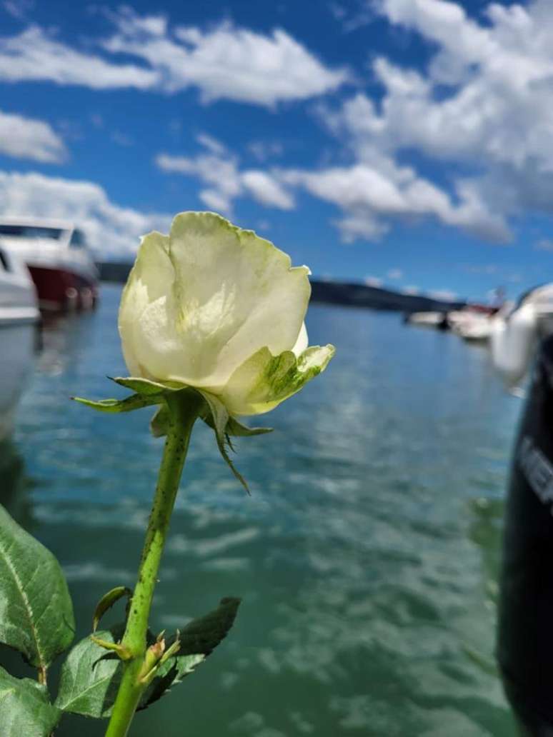 Rosas brancas foram jogadas no Lago de Furnas nesta quinta-feira Arquivo Pessoal