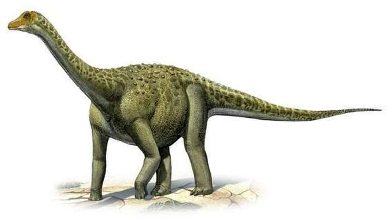 Nova espécie de dinossauro gigante é encontrada na Índia