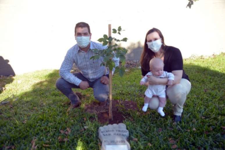 Projeto planta uma árvore para cada bebê nascido (Foto: Bruno Milan/ Divulgação)