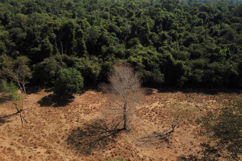 Área desmatada da floresta amazônica no Mato Grosso
28/07/2021
REUTERS/Amanda Perobelli