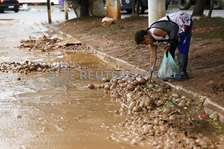 Mulher recolhe frutas do chão após fortes chuvas em Franco da Rocha, São Paulo
31/01/2022. REUTERS/Carla Carniel