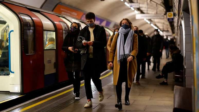 Uma espécie de mosquito adaptou-se para viver apenas nos túneis do metrô de Londres