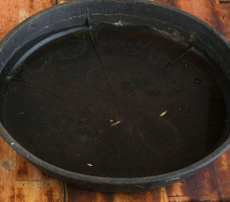 Os focos de &aacute;gua parada s&atilde;o uma das quest&otilde;es que mais merecem aten&ccedil;&atilde;o quando se fala da prolifera&ccedil;&atilde;o do Aedes aegypti - Shutterstock