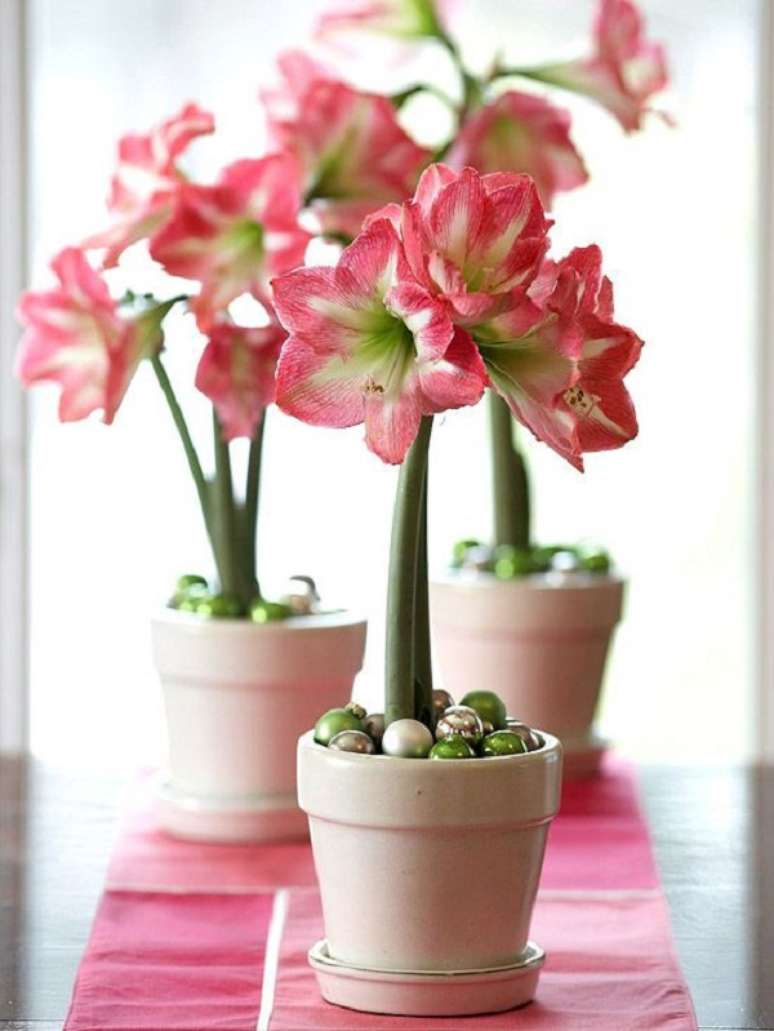 65. Vasos de amarilis rosa e branco &ndash; Foto Better Homes and Gardens