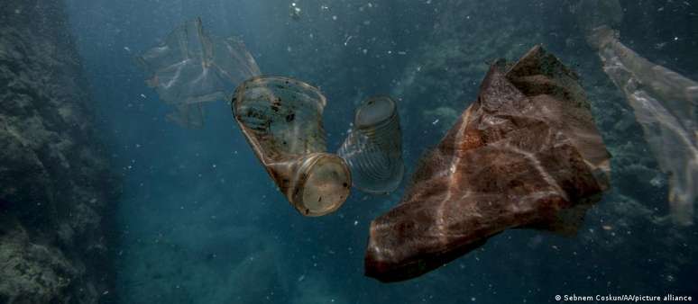 Dejetos plásticos se infiltram nos oceanos, comprometendo o ecossistema e a cadeia alimentar